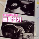 에프에이치 | [크롱일기] 임신 17주 ~ 21주 기록 - 배 뽈록이가 되어버린 임산부의 일상(태동, 임부복, 임산부속옷 등)