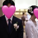 담장아래과꽃 이미지