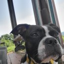 성모정문약국 이미지