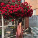 연우헤어&붙임머리