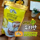 코코두리안