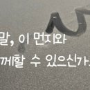 오케이클린입주청소 이미지