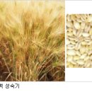 한백식품 이미지