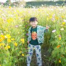 숲뜰근린공원 이미지