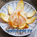 고당도 하우스 진지향 5키로 30000 원 무료배송 이미지