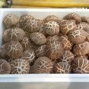 정표농장 이미지