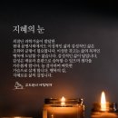 지혜의눈 이미지
