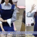 비비드플랜