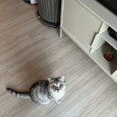 아하데이스파토르마린체험관김해