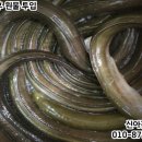 시골건강원 - 포항시 남구 정몽주로 727-11 | 시골건강원