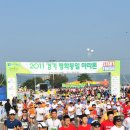 통일애견 이미지