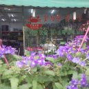 대광이발