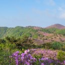 2025.5.10 장흥 제암산, 보성 일림산 (제315차 정기산행) 이미지