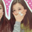 윶 이미지