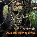 송도컨벤시아 | 2025 렙타일페어 인천 송도컨벤시아 방문후기 정브르 싸인회