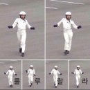 미카야