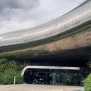 감람농장 이미지