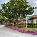 선양 빌리지돔 이미지