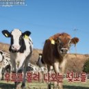 우유농장2 이미지