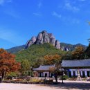 청송민박 | &#34;주왕산 가을 단풍 여행 후기 | 어른들이 꼭 가라던 이유를 알게 된 날 (청송 국립공원)&#34;