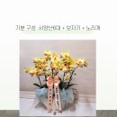 백승진농장 네이버블로그