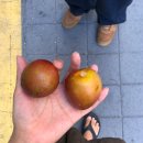 렌더링커피(RENDERING COFFEE) 이미지
