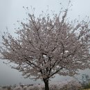 별내체육공원 이미지