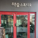 푸른숲스튜디오