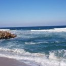 강원도청제2청사 이미지