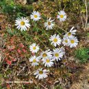 효자요양병원 이미지