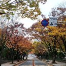 부산광역시청 Daum카페