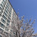 우리건흥씨앤엘주 | W1) 스드메(청담스토리) 계약후기