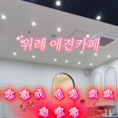 아지트댕댕 이미지