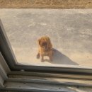 조은월식당 | 일상 아니고 그냥 먹기록이 되‥