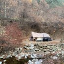 용골송어와캠핑