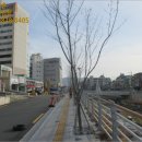 성서1길 이미지