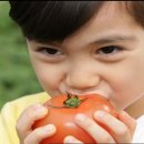 윤정농산물