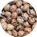 제비네 농장2 이미지