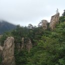 두타갈까 청옥갈래 2009년 7월 25일 토요일 두타산 산행