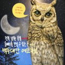 운봉로 | 전북 남원 올빼미도 볼 수 있고, 실내 아이랑 가기 좋은 &#34;백두대간 에코큐브&#34; 예약은 필수!