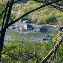 양구자동차 이미지