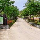 봉수산자연휴양림(수목원) 주차장 이미지