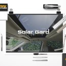 디렉스모터스 이미지