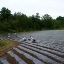 동희농장 이미지