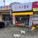 도그왈루 이미지