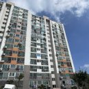 국제백양 이미지