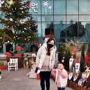 한겨울의 대전열대식물원 –구항오 기자 이미지