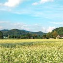 평창방림에너지 이미지