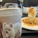 하논카페! 꼭 가봐야 할 크로플 맛집