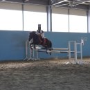 피터팬승마캠프 이미지